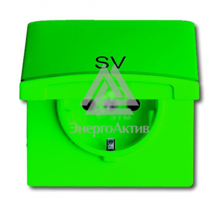 Allwetter44 Розетка SCHUKO 20 EUGKB-13-101 c контрольным СД с крышкой с маркировкой SV IP44 зеленая уплотнительное кольцо в комплекте 16А 250В (20 EUGKB-13-101) купить по оптовой цене с доставкой